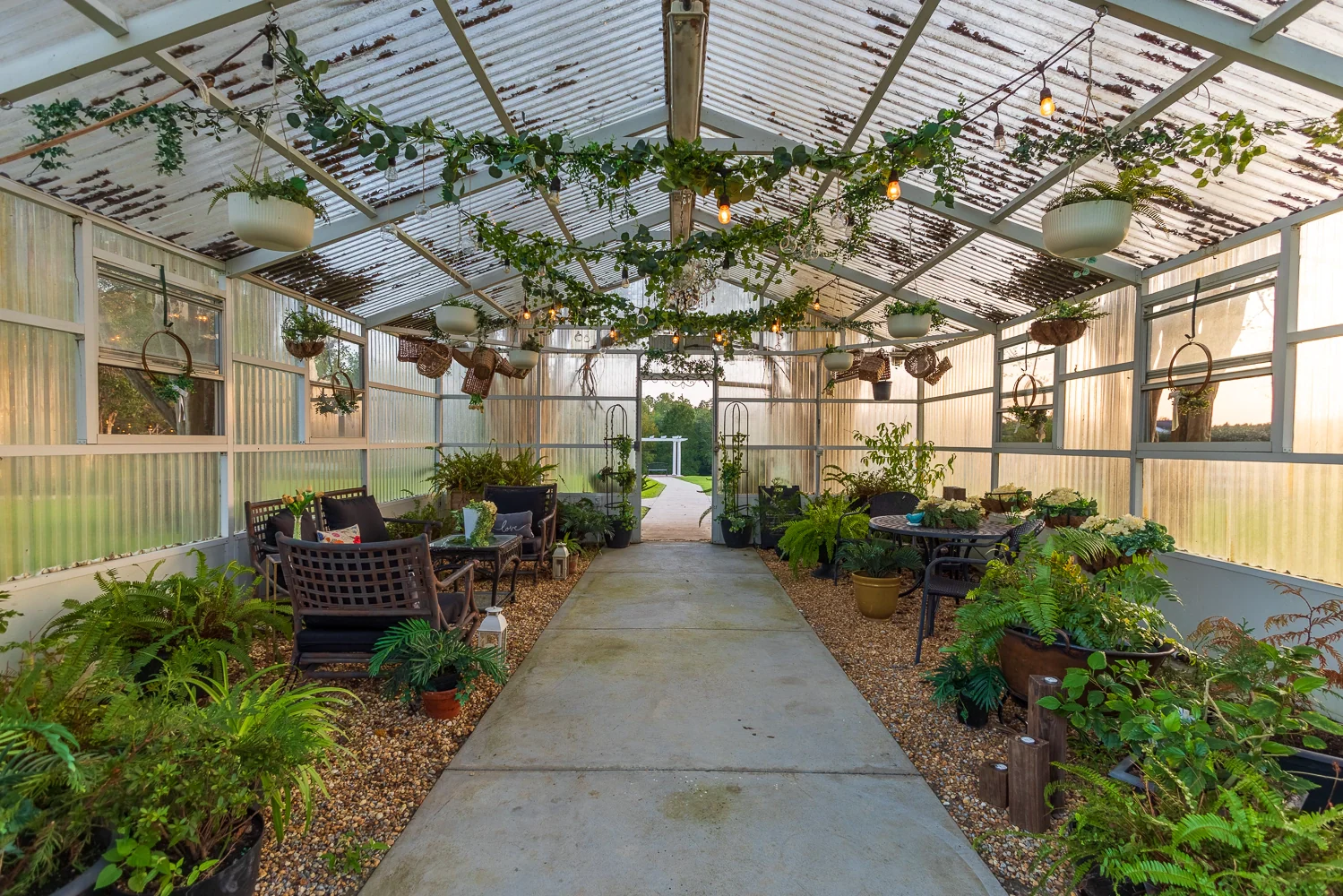 A path through the Greenhouse, lined with ferns and seating beneath hanging plants and string lights.